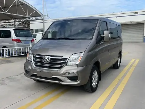Maxus V80