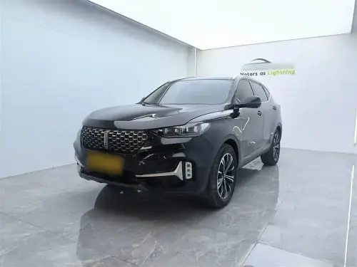 Wey VV6
