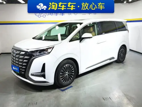 Denza D9