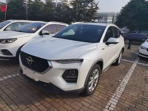 Haima 8S