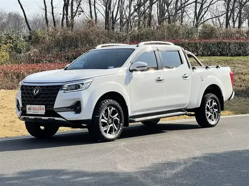Dongfeng Rich