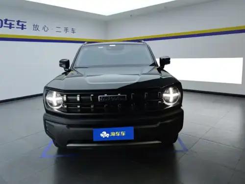 Haval Cool Dog