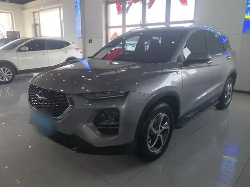 Haima 8S