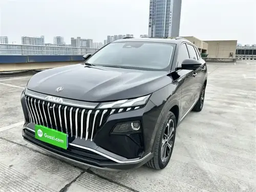Dongfeng Haoji