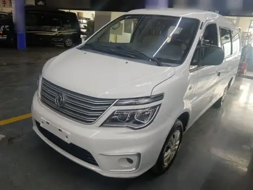 Dongfeng Lingzhi
