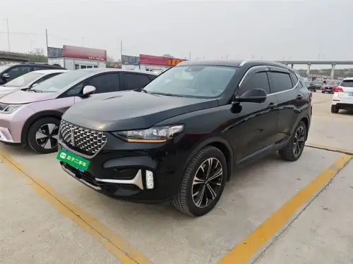 Wey VV6