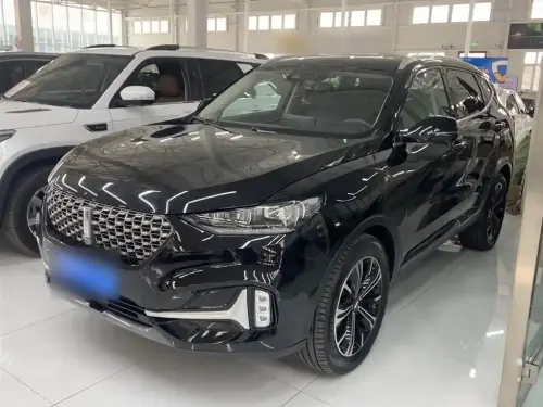 Wey VV6