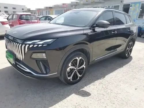 Dongfeng Haoji