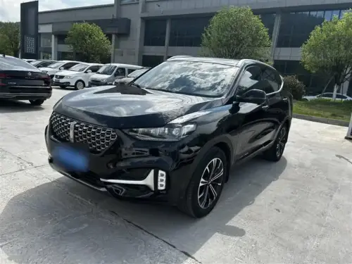 WEY VV6