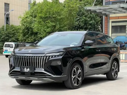 Dongfeng Haoji