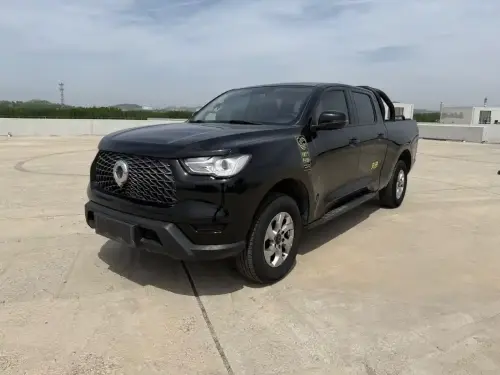 Great Wall Poer