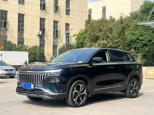 Dongfeng Haoji