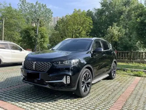 Wey VV6