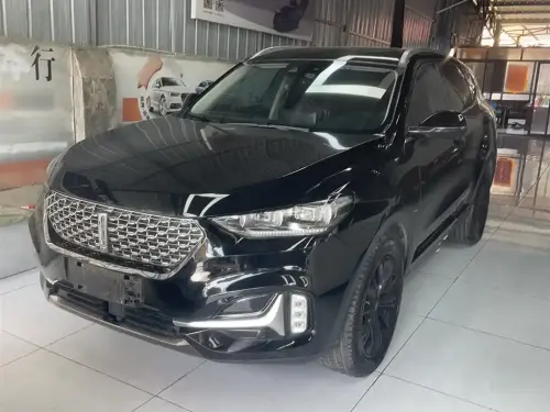 Wey VV6