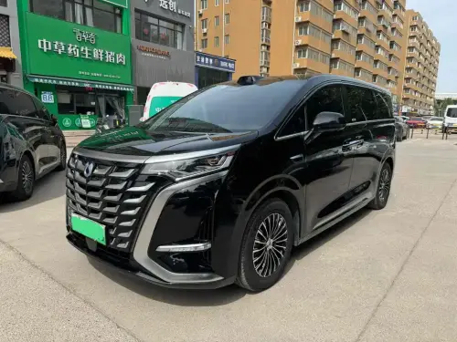 Denza D9