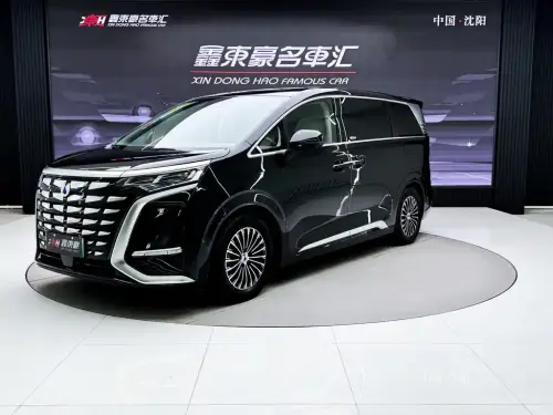 Denza D9