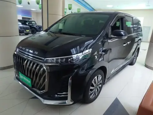 Maxus G20