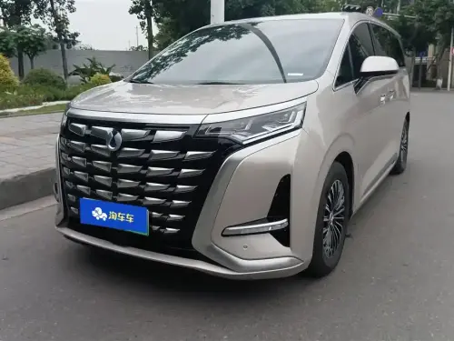 Denza D9