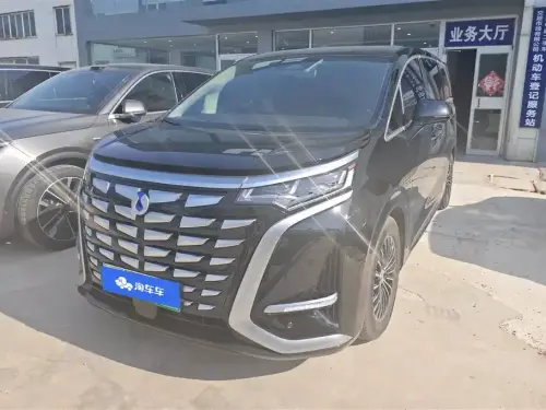Denza D9
