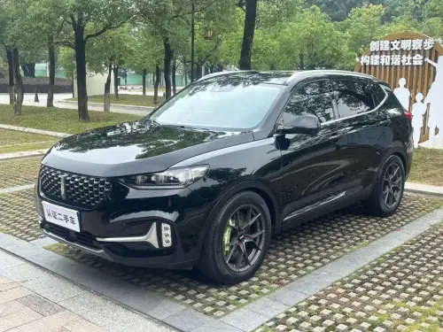 Wey VV6