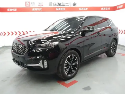 Wey VV6