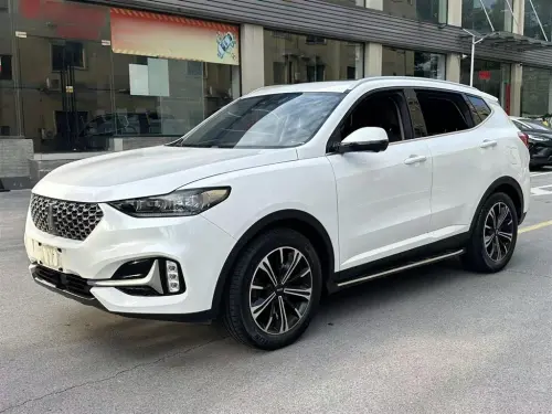 WEY VV6