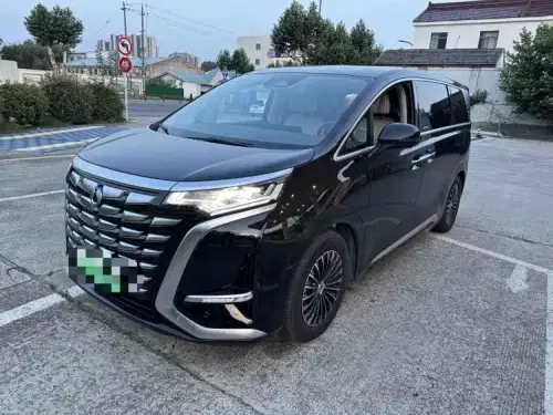 Denza D9