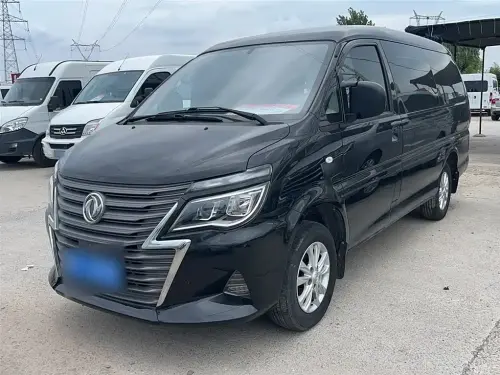 Dongfeng Lingzhi