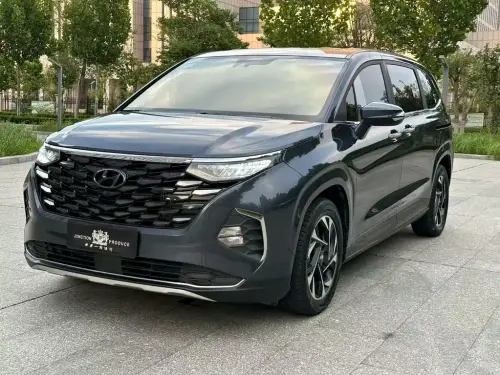 Hyundai Custo