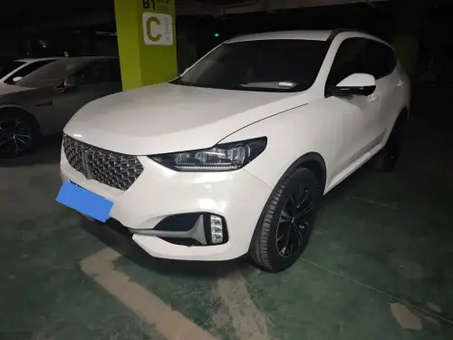 WEY VV6