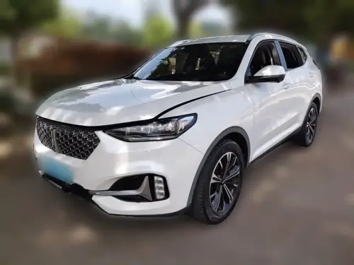 WEY VV6