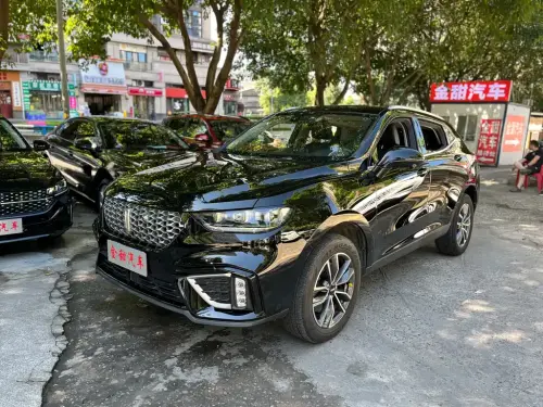 WEY VV5