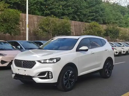WEY VV6