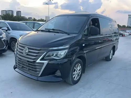 Dongfeng Lingzhi