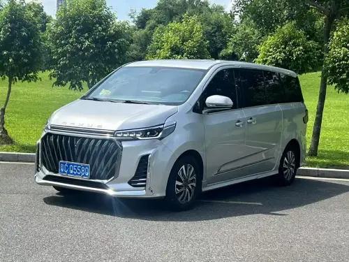 Maxus G20