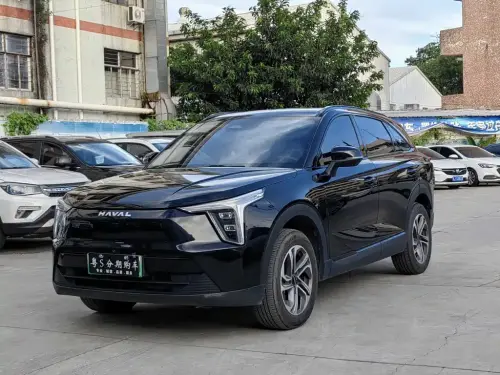 Haval Xiaolong