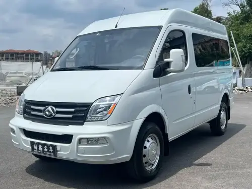 Maxus V80