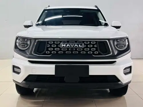 Haval Big Dog