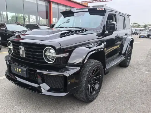 Tank 300