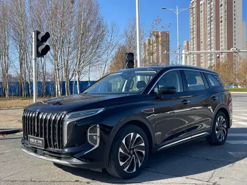 Hongqi HS7