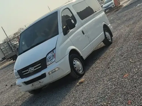 Maxus V80