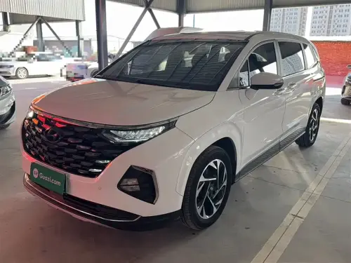 Hyundai Custo