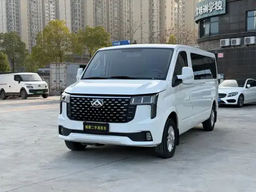Maxus V80