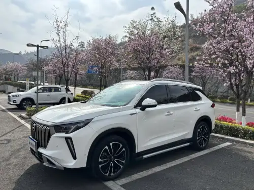 GAC GS4