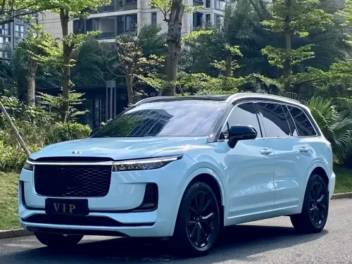 Li Auto ONE