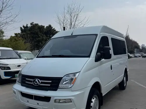 Maxus V80