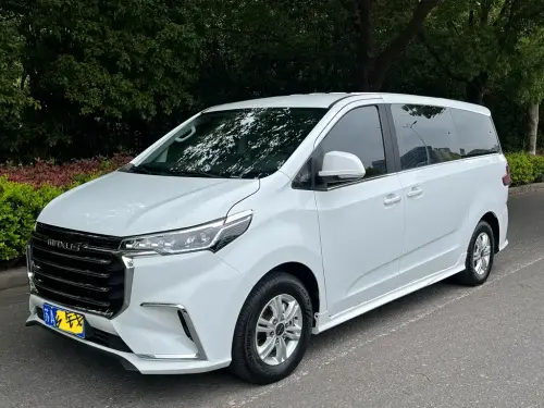 Maxus G20