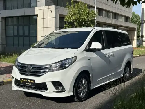 Maxus G10