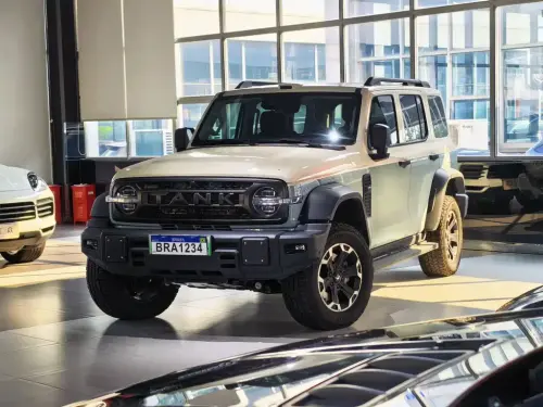 Tank 300L